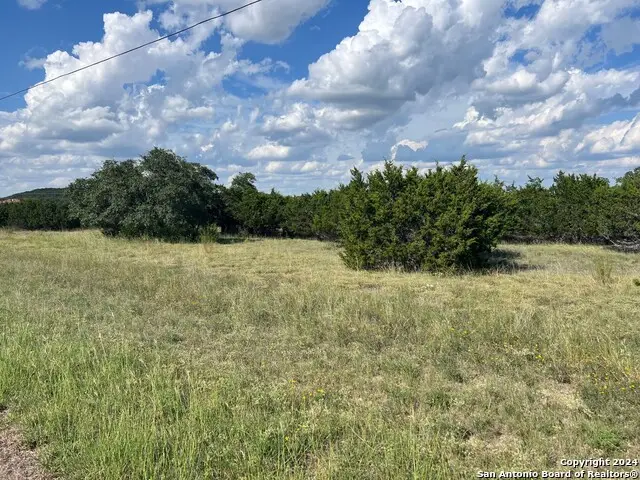 317 Bosque Ridge, Spring Branch, TX 78070 - Image #3