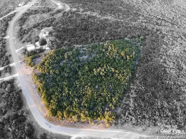314 County Road 2744, Mico, TX 78056 - #1