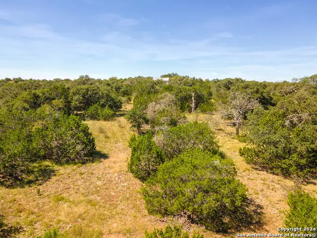 228 Spring Rd, Fredericksburg, TX 78624 - Image #3