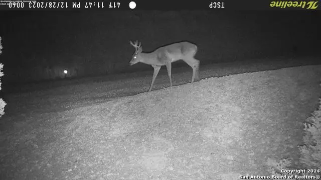 1085 White Bluff, Medina, TX 78055 - Image #2