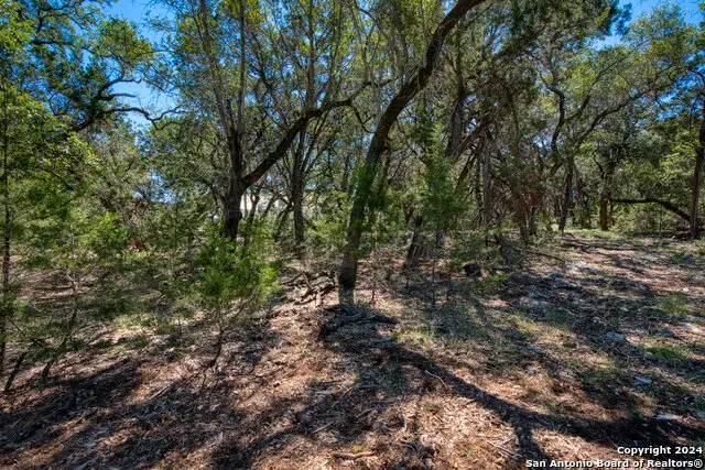 9 Starwood, Boerne, TX 78006 - Image #3