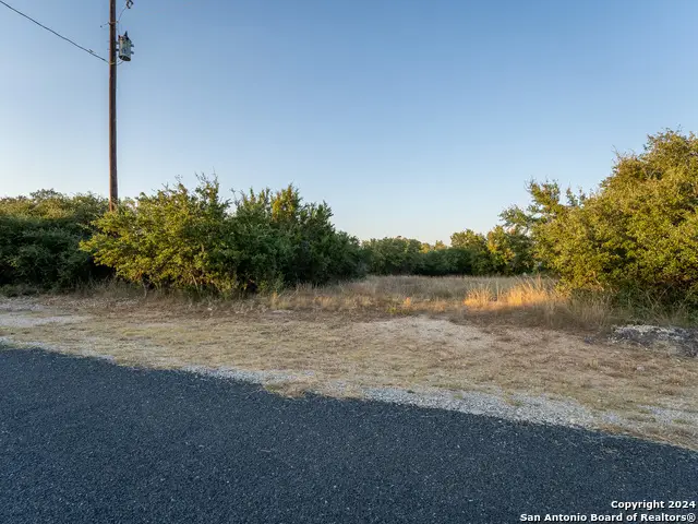 209 N Calvin Barrett, Blanco, TX 78606 - Image #1