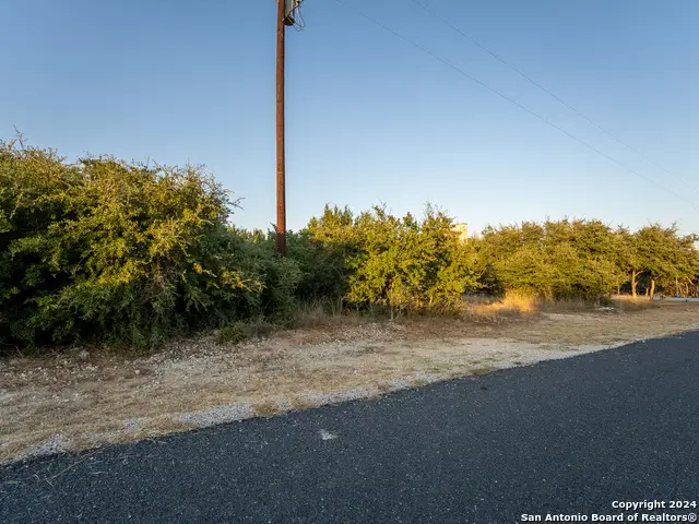 209 N Calvin Barrett, Blanco, TX 78606 - Image #2