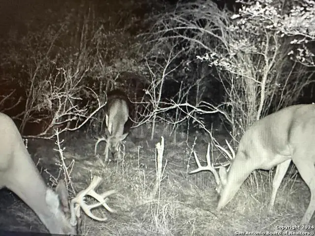 13004 Fm 3353, Kingsbury, TX 78638 - #2