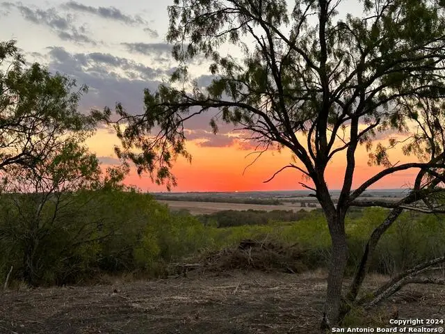 13004 Fm 3353, Kingsbury, TX 78638 - #3