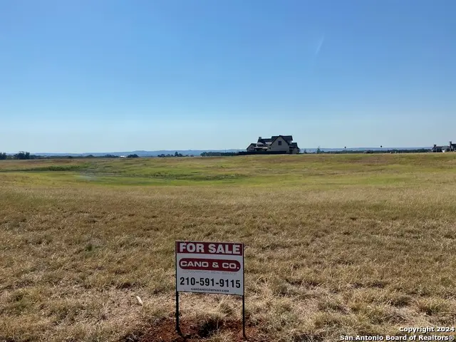 401 Interlaken, Fredericksburg, TX 78624 - Image #3