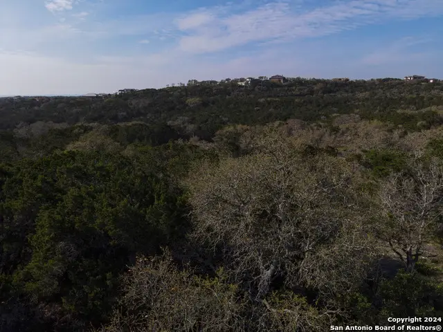 82 County Road 273, Mico, TX 78056 - Image #2