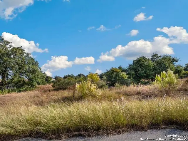 1918 Rothschild, New Braunfels, TX 78132 - Image #1