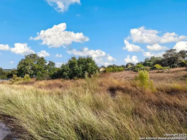 1918 Rothschild, New Braunfels, TX 78132 - Image #2