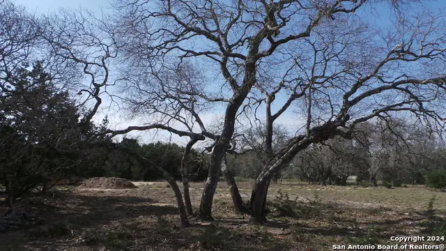 325 Vista View Dr, Boerne, TX 78006 - #3