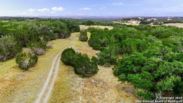 701 Windmill Ridge Dr., Blanco, TX 78606 - #1