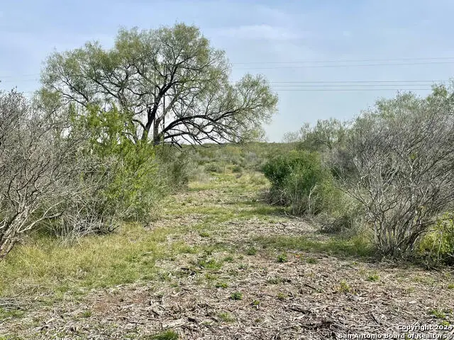 173 County Road 1670, Moore, TX 78057 - Image #1