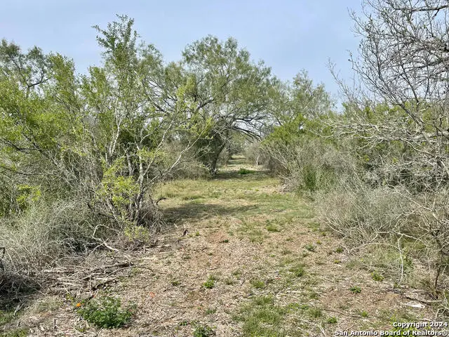 173 County Road 1670, Moore, TX 78057 - Image #2