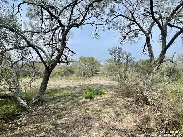 173 County Road 1670, Moore, TX 78057 - Image #3