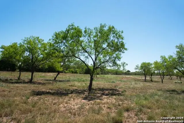 TRACT 6 Fm 1332, Jourdanton, TX 78026 - Image #1
