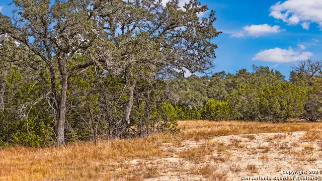 1949 Paradise Pkwy, Canyon Lake, TX 78133 - #1