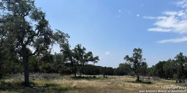 1733 Paradise Pkwy, Canyon Lake, TX 78133 - #2