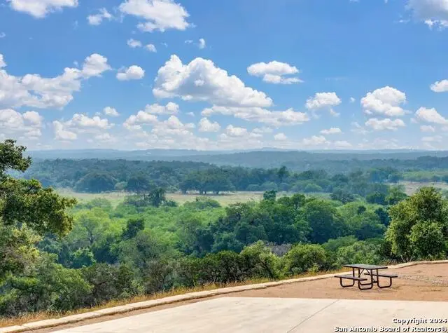 1733 Paradise Pkwy, Canyon Lake, TX 78133 - #3