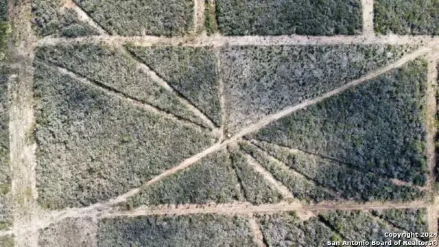 245 County Road 1670, Moore, TX 78057 - Image #1