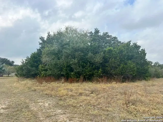 1182 Mystic Shores Blvd, Spring Branch, TX 78070 - Image #2