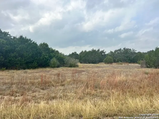 1182 Mystic Shores Blvd, Spring Branch, TX 78070 - Image #3