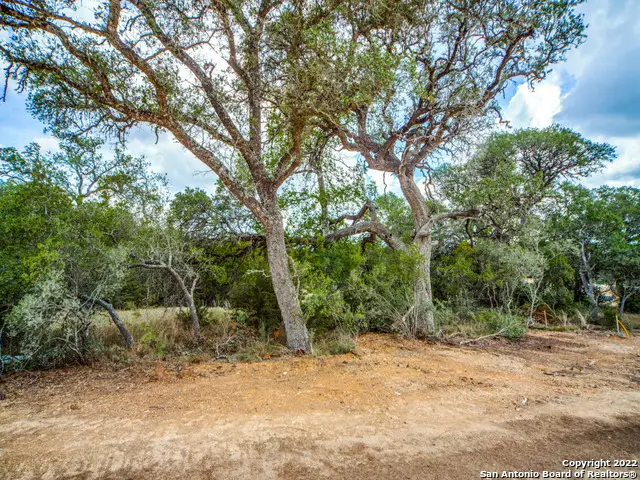 708 Sharp Springs, Bulverde, TX 78163 - Image #3
