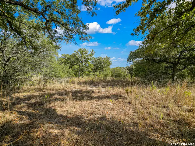 912 Swallows Ln, Seguin, TX 78155 - #3