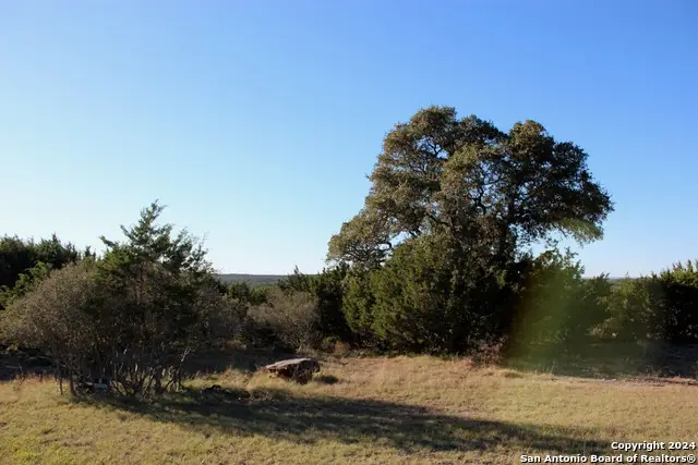 463 Lantana Mesa, Spring Branch, TX 78070 - Image #2