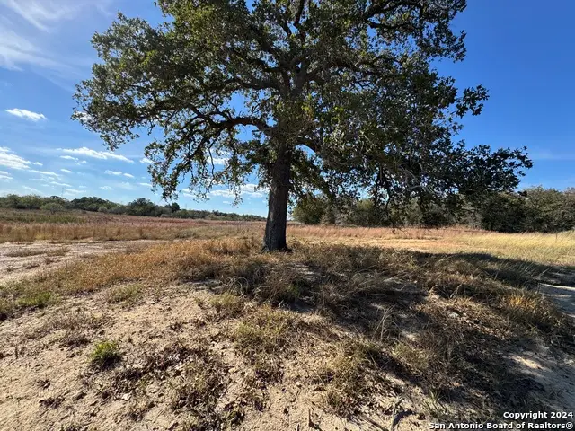 19764 S State Highway 123, Seguin, TX 78155 - Image #3