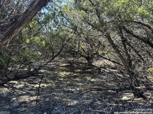 LOT 191 Antler Run, Pipe Creek, TX 78063 - Image #1