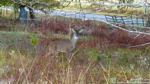 000 Appling Rd / Ih 10, Kingsbury, TX 78638 - Image #2