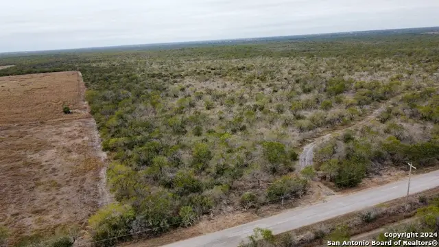 TBD Cr 421, Christine, TX 78012 - Image #1
