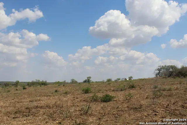 5436 County Road 4514, Devine, TX 78016 - Image #2