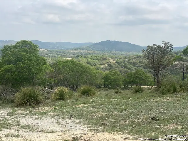 56 W Red Stage, Pipe Creek, TX 78063 - Image #2