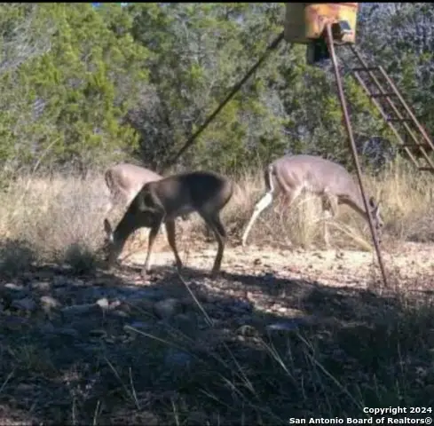 235 Private Road 235 Lot 2, Hondo, TX 78861 - Image #1