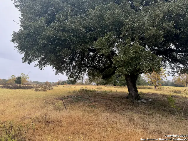 3841 E State Hwy 159, Winchester, TX 78945 - Image #2