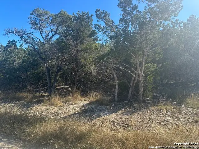 350 Restless Wind, Spring Branch, TX 78070 - #1