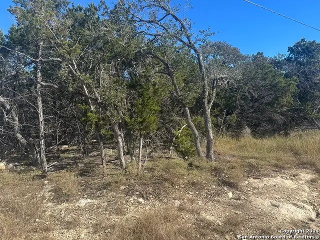 350 Restless Wind, Spring Branch, TX 78070 - #2