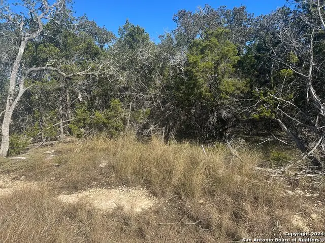 350 Restless Wind, Spring Branch, TX 78070 - #3