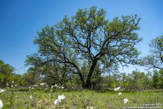 2731 County Road 770, Natalia, TX 78059 - Image #1