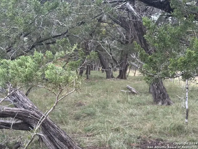 LOTS 1-3 Indian Trail, Pipe Creek, TX 78063 - Image #1