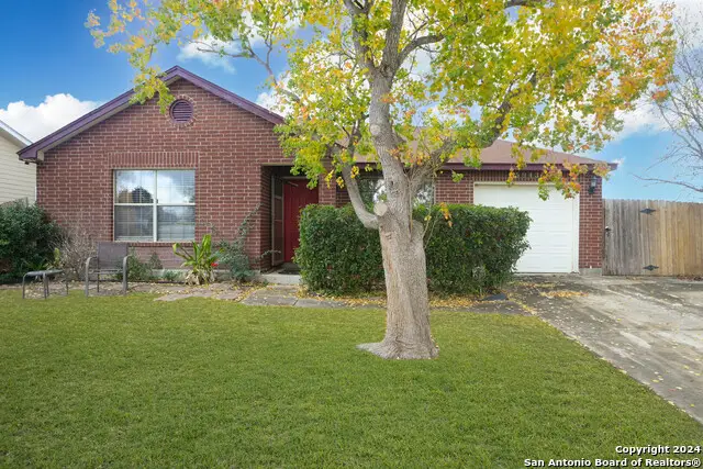 5943 Tree View, San Antonio, TX 78220 - Image #1