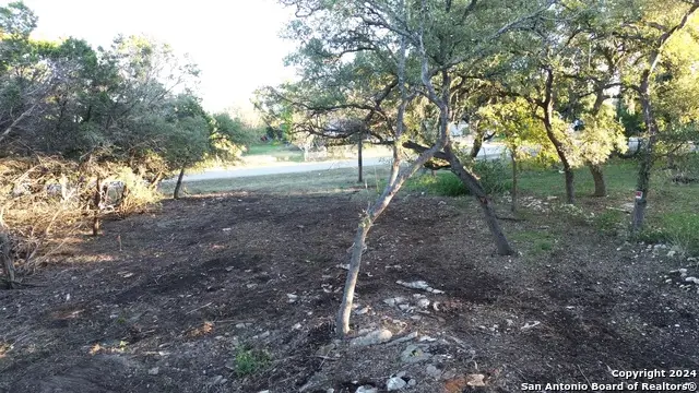 1405 Canyon Bend, Canyon Lake, TX 78133 - Image #3