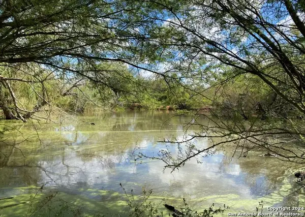 245 Buttercup Ln, Floresville, TX 78114