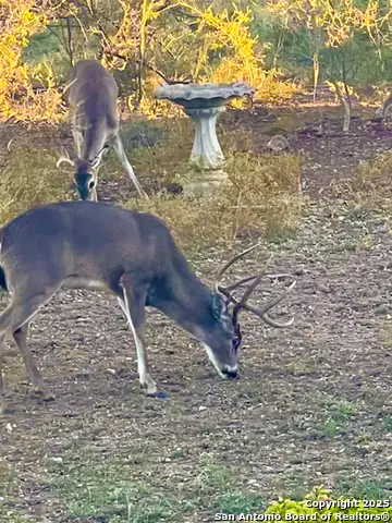 23 Waring Rd., Comfort, TX 78013 - #2