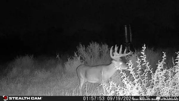 000 Cr 354-easement, Charlotte, TX 78011