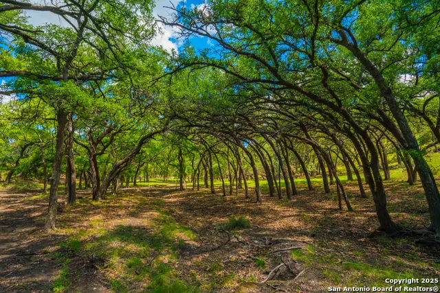 85 Waring Welfare, Boerne, TX 78006 - #3