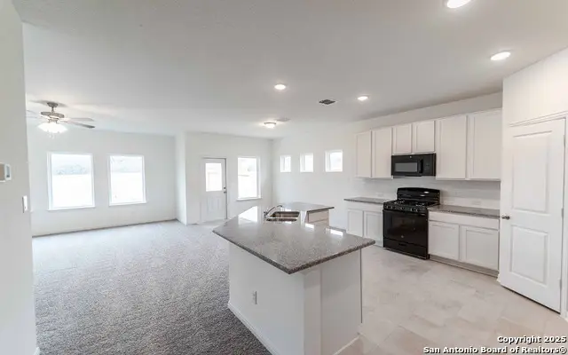 258 Ashley Loop, San Antonio, TX 78253 - Image #3