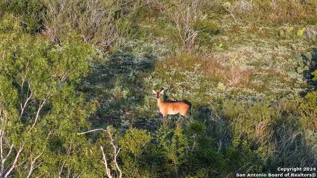 000 Leal Road, Pleasanton, TX 78064 - Image #1