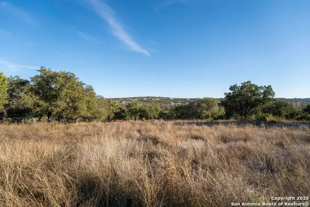 154 Double Tree, Canyon Lake, TX 78133 - #2